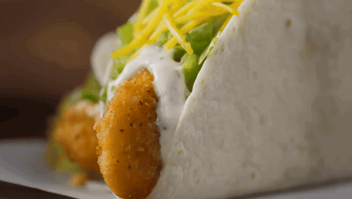 Close Up of Chicken Cheese Tortilla