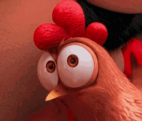 Close Up of Chicken with Big Eyes and Red Crest