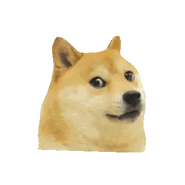 Close Up of Doge