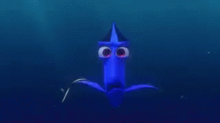Close Up of Dory's Eyes