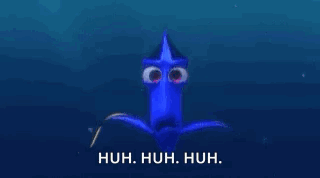 Close Up of Dory's Eyes