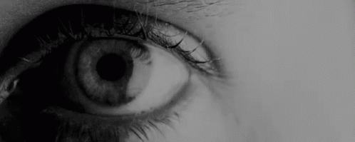 Close Up of Eye With Black Pupil