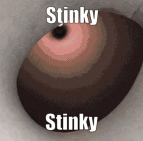Close Up Of Eye With Stinky Text GIF
