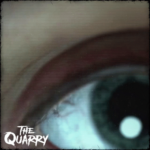 Close Up of Eye With Text The Quarry