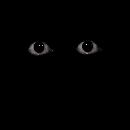 Close Up of Eyes in Darkness