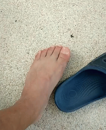 Close Up of Foot with Blue Sandals