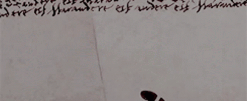 Close Up Of Footprints On A Wall GIF