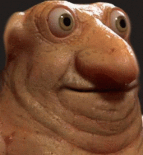 Close Up Of Frog Face With Big Eyes GIF