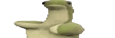 Close Up of Frog's Head
