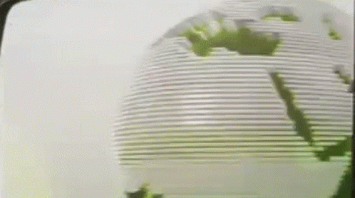 Close Up Of Green And White Globe GIF