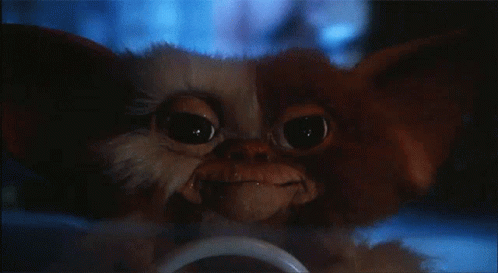 Close Up of Gremlins Gizmo
