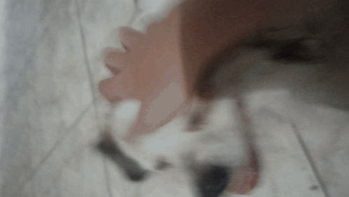 Close-Up of Hand Holding White Object