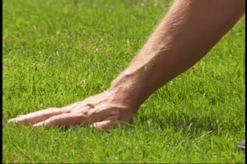 Close Up of Hand on Grass
