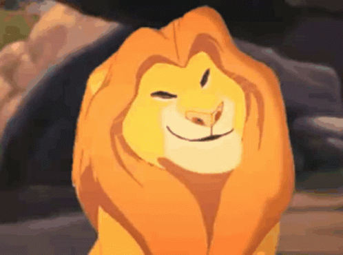 Close Up of Lion from The Lion King