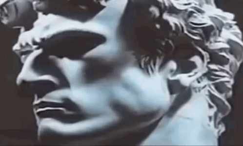 Close Up Of Man Statue Face GIF