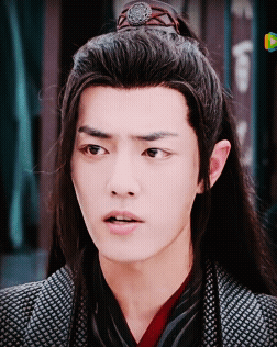 Close Up of Man with Long Hair and Ponytail