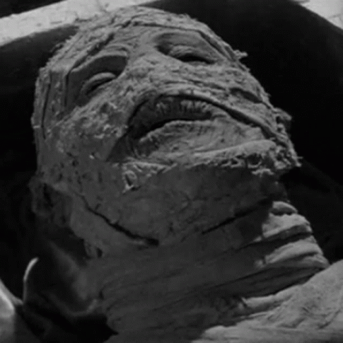 Close Up of Mummy's Bandaged Face