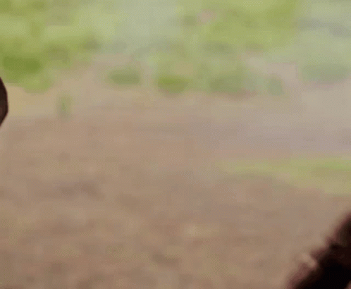 Close Up of Person Holding Another's Hand