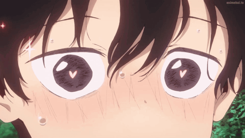 Close Up of Person's Eyes With animelist.tv