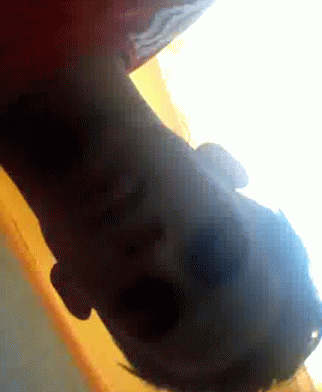 Close Up of Person's Face with Sun