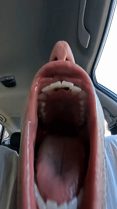 Close Up of Person's Mouth in Car