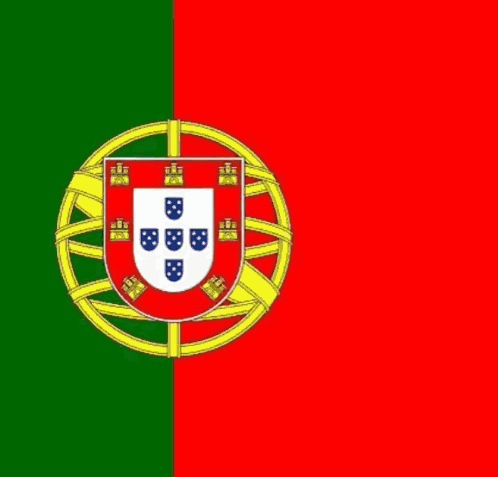 Close Up Of Person With Portuguese Flag GIF