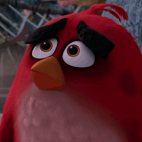 Close Up of Red Bird With Black Eyebrow