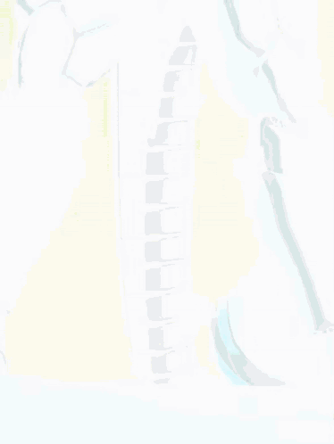 Close Up of Robot Legs and Tail