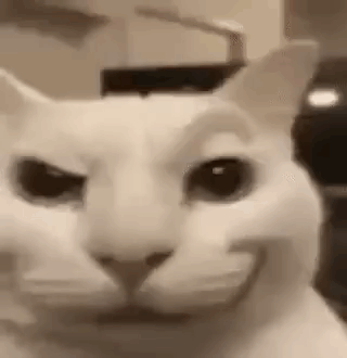 Close Up of Smiling Cat Face