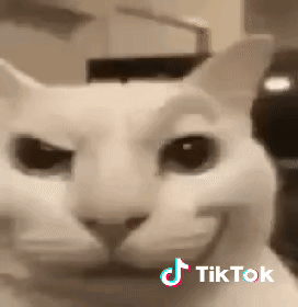 Close Up of White Cat Face with TikTok Logo