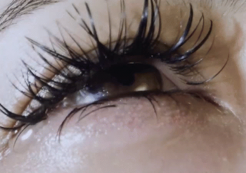 Close Up of Woman's Eye with Long Black Lashes