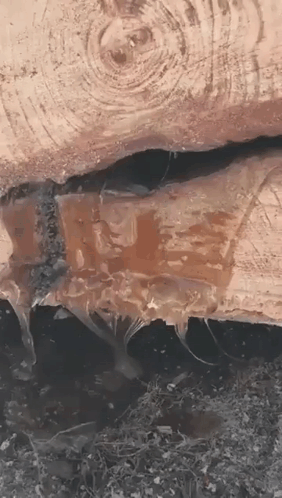 Close Up of Wood with Water Drops