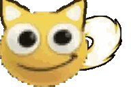 Close Up of Yellow Cat with Big Eyes