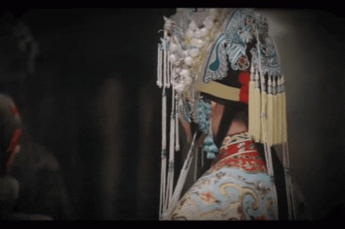 Close Up Person In Dragon Costume GIF