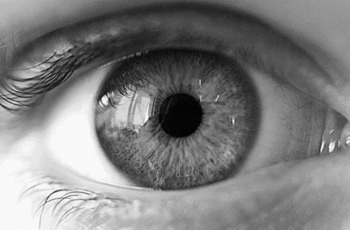 Close-Up Person's Eye Black and White