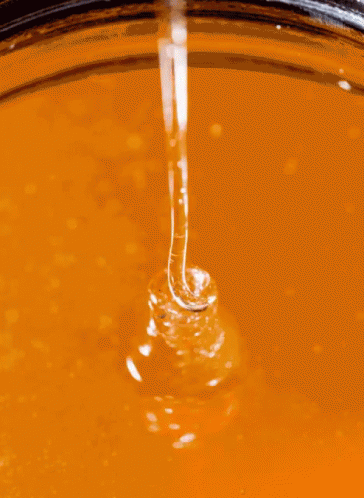 Close Up Pouring Honey GIF