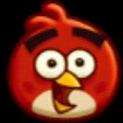 Close Up Red Angry Bird Big Eyes GIF