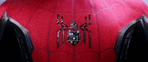 Close Up Red Spider Web With Black Spider