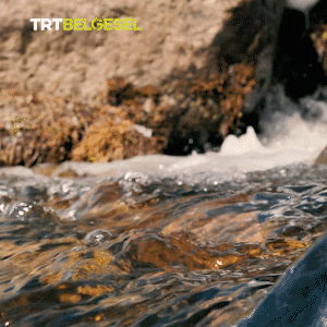 Close Up River Water Flow GIF