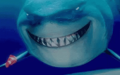 Close-Up Shark Face With Clown Fish GIF