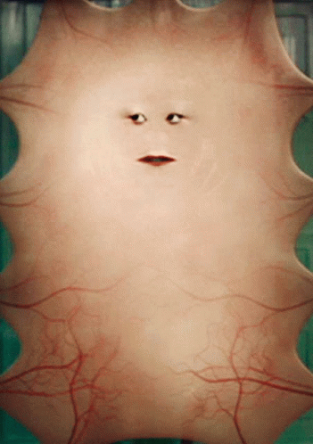 Close Up Skin Resembling Face GIF