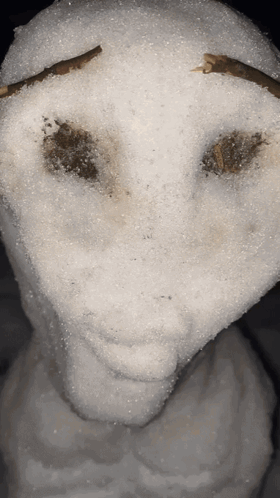 Close Up Snowman Face With Snow GIF