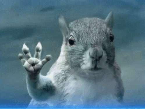 Close Up Squirrel Behind Glass Hand Outstretched