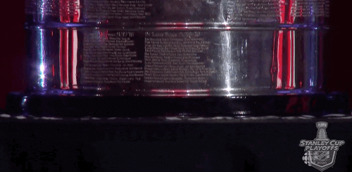 Closer Look Of Stanley Cup Nhl GIF