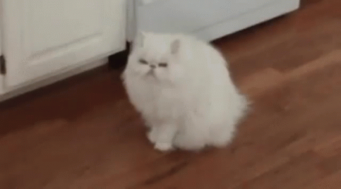 Cloud Cat Running GIF