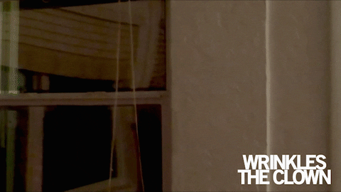 Clown At The Window Scary Face GIF