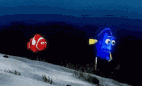 Clown Fish and Blue Fish