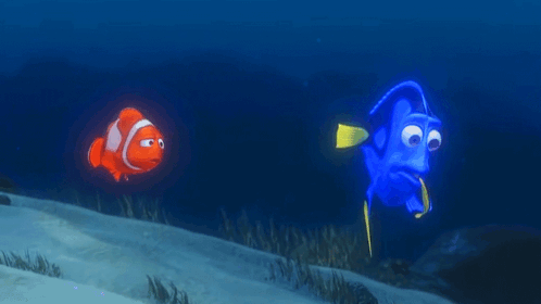 Clown Fish Swimming Next to Blue Fish