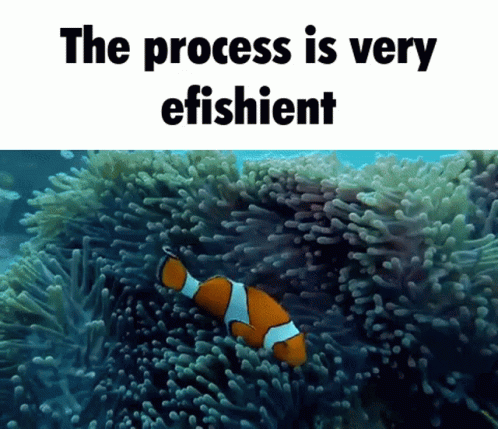 Clown Fish Swimming With Process is Very Efficient