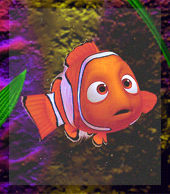 Clown Fish With Big Eyes